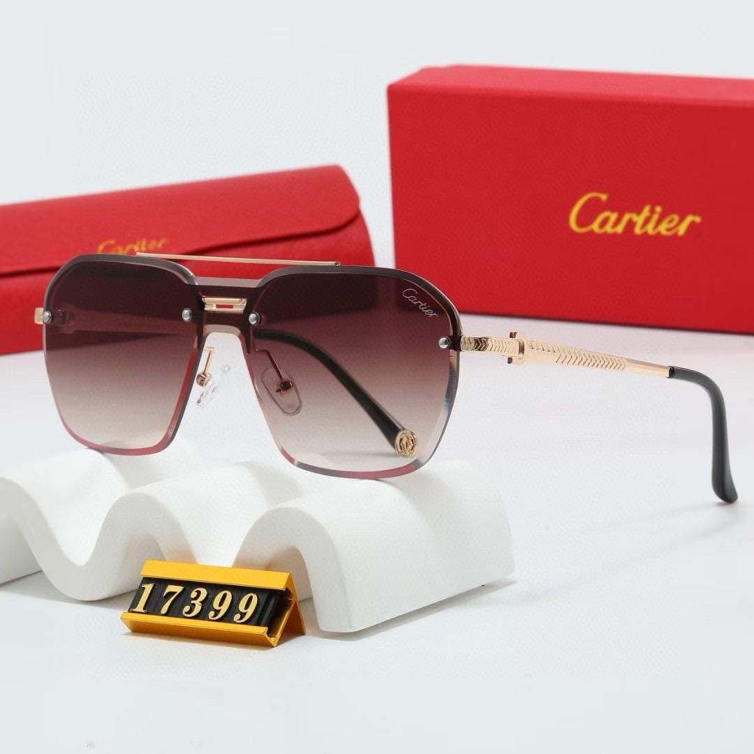 Fashion hot 5 color sunglasses 17399s