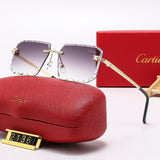 Fashion hot 5 color sunglasses 2136s